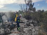 Van 11 emergencias atendidas en la ciudad debido a los fuertes vientos