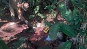Autopsia confirma que las víctimas halladas decapitadas en Yapacaní fueron torturadas antes de morir