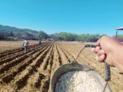 Cambio climático, la nueva batalla del sector campesino