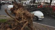Fuertes vientos provocan caída de árboles, daños en viviendas y un herido en Cochabamba
