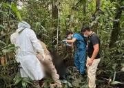 Hallan sin vida a hombre desparecido y con un disparo en la cabeza