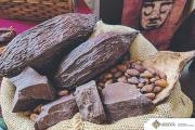 Bolivia quiere que su cacao premium también conquiste el negocio mundial