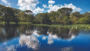 El bosque abre el futuro en Pando