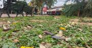 Joven mecánico es atacado con un cuchillo carnicero tras discusión en una licorería