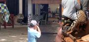 VECINOS DE GUAYARAMERÍN MATAN A TIROS A UN JAGUAR