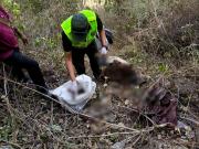 Hallan restos óseos y prendas de vestir de un varón en una comunidad de Chulumani