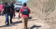 Crimen organizado en Bolivia: Europa compromete formación y fortalecimiento para la Policía, Fiscalía y jueces