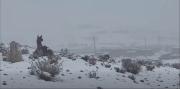 Potosí: van 4.499 familias afectadas en 11 municipios por intensas nevadas
