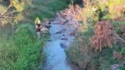 Hallan sin vida a una mujer de la tercera edad en el puente de Mairana