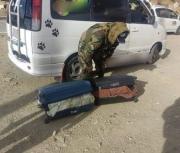 FELCN secuestra marihuana oculta en dos maletas durante operativo en Tarija