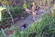 Hallan el cuerpo sin vida de una comerciante bajo el puente de ingreso a Mairana