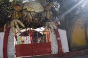 Alcaldía anuncia cierre paulatino del Bioparque de Oruro