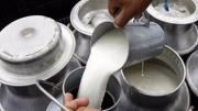 Lecheros de La Paz alertan caída en la producción por la escasez de agua y piden usar fondos de Proleche