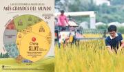 China domina la agricultura mundial y Brasil consolida el peso de América Latina