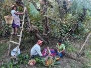 La boliviana Patricia Mendoza gana el máximo galardón en The Old Vine Photography Competition 2026