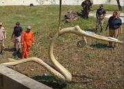 Alcaldía cruceña realiza trabajos en el Parque El Arenal rumbo al 24 de septiembre