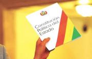 Ante proyectos de ley; aclaran que reforma parcial de la CPE debe pasar por la ALP y un referéndum
