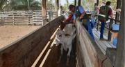 DS 5676: Estos son los grandes consumidores que pagarán Bs 18 por litro de diésel