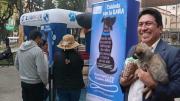 Sacaba inicia campaña gratuita de esterilización para perros y gatos