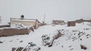 Nevada afecta a 40.000 camélidos en San Pablo de Lípez, seis comunidades se encuentran aisladas