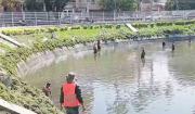 Alcaldía acelera la recuperación del Parque El Arenal y promete tenerlo listo para el 23 de septiembre
