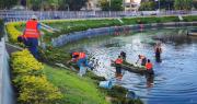 Anuncian el regreso de las esculturas de las sirenas y las hidras al parque El Arenal tras 16 años