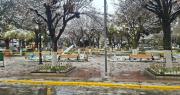 Una mujer muere tras caerle un árbol por el peso de la nieve