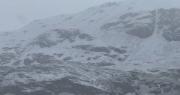 Potosí: San Pablo de Lípez sufre su segunda gran nevada y alcalde pide ayuda para salvar 40.000 camélidos