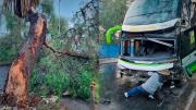 Cochabamba: Bus choca contra un árbol cerca del puente Killman, el conductor resulta herido