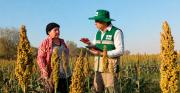 INE inicia reclutamiento de personal para el Censo Agropecuario en Santa Cruz y Beni