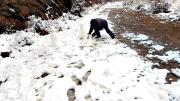 Senamhi confirma caída de nieve en la zona alta de Tarija por un frente frío
