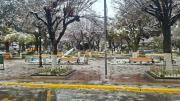 Nevada deja una persona fallecida en Oruro y obliga a suspender salidas de buses y aviones