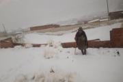 Defensa Civil activa atención y gestiona ayuda para 51 familias afectadas por nevada en Potosí