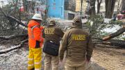 Mujer muere tras caerle una rama de árbol durante intensa nevada en Oruro