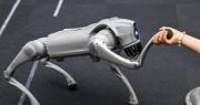 China acelera su industria de robots humanoides: Unitree se dispara 600% en su debut bursátil