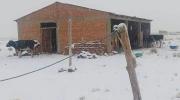 Nevadas afectan a más de 26.000 familias de tres departamentos