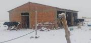NEVADAS GOLPEAN A MÁS DE 26 MIL FAMILIAS Y 323 COMUNIDADES