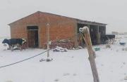 Nevadas afectan a 26.220 familias y 323 comunidades en el occidente del país, reporta Defensa