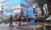 Oruro: Fiscalía abre investigacion por homicidio culposo tras muerte de una mujer de 70 años en la Plaza Manuel de Castro y Padilla