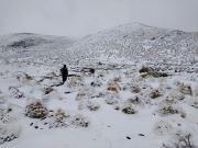 Rescatan a 25 turistas y liberan a 150 vehículos varados por la nieve en La Cumbre