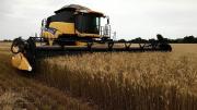 Anapo advierte alza de alimentos tras el DS 5676 sobre el diésel
