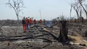 Proyecto de ley busca blindar por 30 años tierras forestales afectadas por incendios