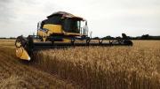 Anapo: el DS 5676 castiga al pequeño productor y subirá el precio de los alimentos