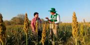 INE avanza con convenios con municipios para la realización del Censo Agropecuario 2026