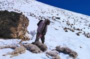 Nevadas afectan a más de 900 familias en Cocapata y Gobierno desplaza brigadas para evaluar daños
