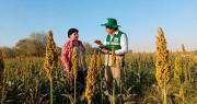 INE abre postulaciones para contratar personal para el Censo Agropecuario