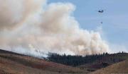 Más de 40.000 evacuados por incendio forestal en EE.UU.