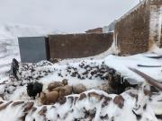 Nevadas persistirán hasta el martes en cuatro departamentos; Potosí es el más afectado