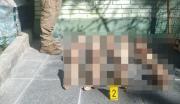 Policía descarta que cráneos hallados en Villa San Antonio sean de perros