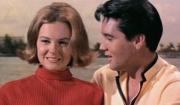 Murió Shelley Fabares, actriz que brilló junto a Elvis Presley